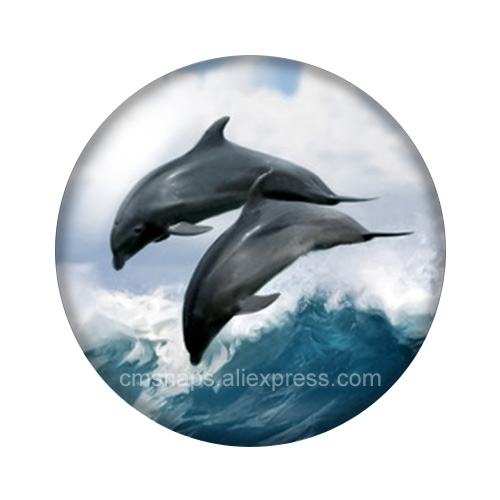 Love Style dolphins Couple Sea - Jewelry Making For Couples ulasan dan harga